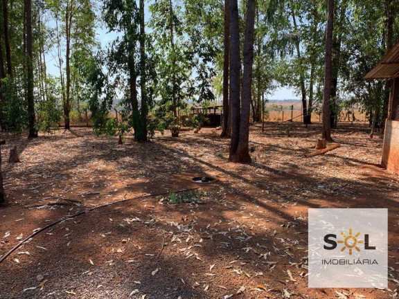 Imagem Chácara com 2 Quartos à Venda, 294.000 m² em Zona Rural - Bela Vista De Goiás Imagem Chácara com 2 Quartos à Venda, 294.000 m² em Zona Rural - Bela Vista De Goiás