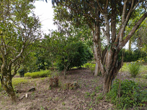 Imagem Chácara à Venda, em Jardim Cananéia - Pilar Do Sul Imagem Chácara à Venda, em Jardim Cananéia - Pilar Do Sul
