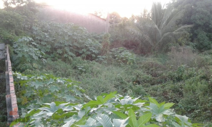 Imagem Imóvel à Venda, 1.215 m² em Pacajus - Pacajus