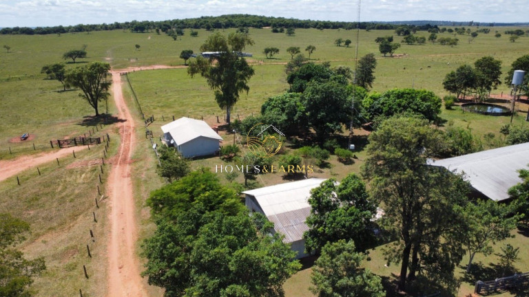 Imóvel com 3 Quartos à Venda, 1.219 m² em Zona Rural - Amambaí