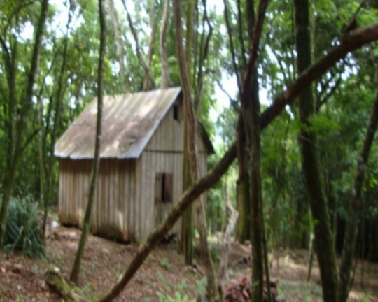Imagem Terreno à Venda, 6 m² em Fazenda Pirajá - Nova Petrópolis Imagem Terreno à Venda, 6 m² em Fazenda Pirajá - Nova Petrópolis