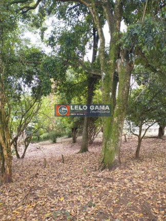 Imagem Terreno à Venda, 3 m² em Maria Mercedes - Santana De Parnaíba Imagem Terreno à Venda, 3 m² em Maria Mercedes - Santana De Parnaíba