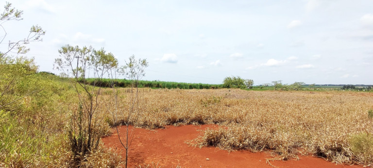 Imagem Terreno à Venda, 20.000 m² em área Rural De Iracemápolis - Iracemápolis Imagem Terreno à Venda, 20.000 m² em área Rural De Iracemápolis - Iracemápolis