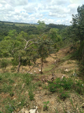 Imagem Chácara à Venda, 1 m² em Ipanema - Igarapé