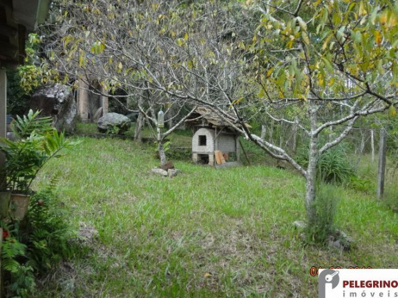 Imagem Imóvel com 3 Quartos à Venda, 45.000 m² em Zona Rural - Sentinela Do Sul Imagem Imóvel com 3 Quartos à Venda, 45.000 m² em Zona Rural - Sentinela Do Sul