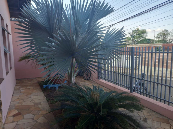 Imagem Casa com 3 Quartos à Venda, 336 m² em Jardim Petrópolis - Pirassununga