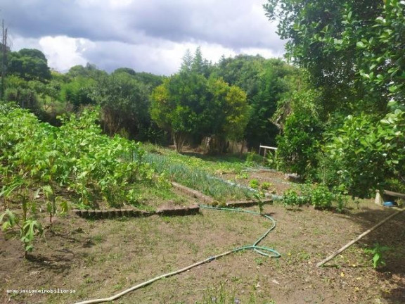 Imagem Chácara à Venda,  em Bairro Da Vargem Do Salto - Ibiúna