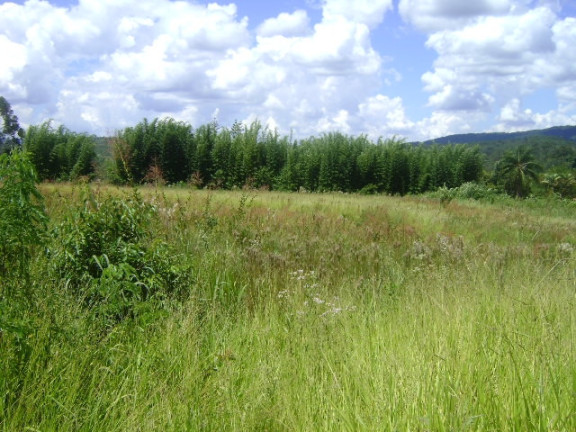 Imagem Terreno à Venda, 15.700 m² em Acesso Para Carretas - Mairiporã Imagem Terreno à Venda, 15.700 m² em Acesso Para Carretas - Mairiporã