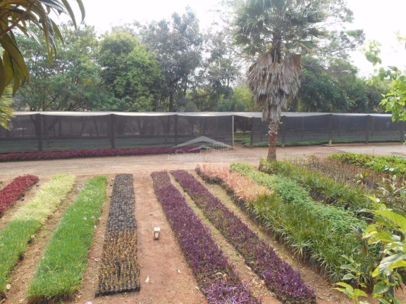 Imagem Terreno à Venda, 423 m² em Parque Xangrilá - Campinas Imagem Terreno à Venda, 423 m² em Parque Xangrilá - Campinas