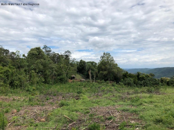 Imagem Terreno à Venda, 5 m² em Nove Colônias - Nova Petrópolis