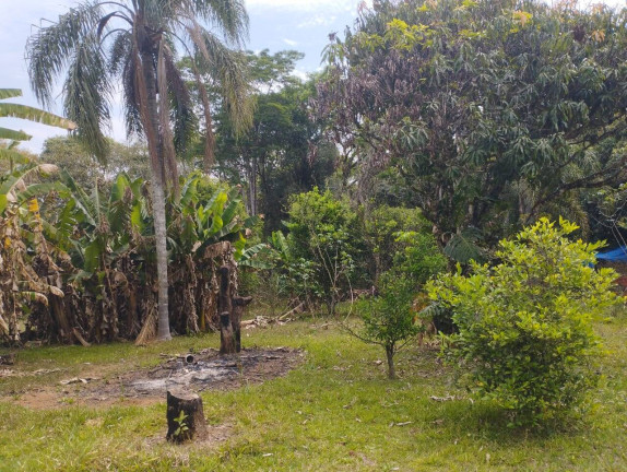 Imagem Chácara com 3 Quartos à Venda, 1.525 m² em Jardim Cananéia - Pilar Do Sul Imagem Chácara com 3 Quartos à Venda, 1.525 m² em Jardim Cananéia - Pilar Do Sul