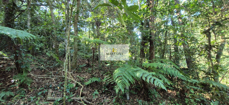 Imagem Terreno à Venda, 300 m² em Maresias - São Sebastião Imagem Terreno à Venda, 300 m² em Maresias - São Sebastião