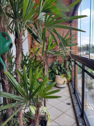 Imagem Apartamento com 4 Quartos à Venda, 250 m² em Santo Amaro - São Paulo Imagem Apartamento com 4 Quartos à Venda, 250 m² em Santo Amaro - São Paulo