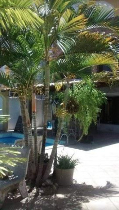 Imagem Casa com 5 Quartos à Venda, 350 m² em Boa Viagem - Recife Imagem Casa com 5 Quartos à Venda, 350 m² em Boa Viagem - Recife