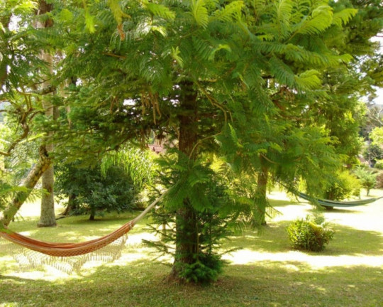 Imagem Imóvel à Venda, 2.039 m² em Linha Brasil - Nova Petrópolis Imagem Imóvel à Venda, 2.039 m² em Linha Brasil - Nova Petrópolis