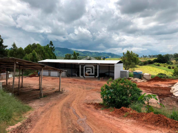 Imóvel com 1 Quarto à Venda, 10 m² em Vila Nova - Poços De Caldas
