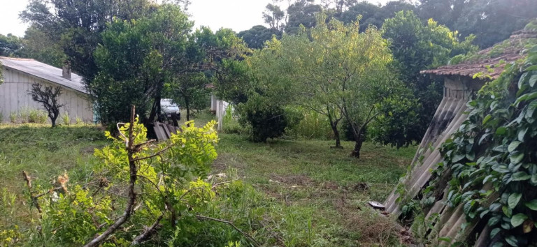 Imagem Chácara com 2 Quartos à Venda, 5.445 m² em Centro - Agudos Do Sul