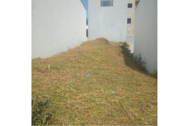 Imagem Terreno à Venda, 150 m² em Laranjeiras - Caieiras Imagem Terreno à Venda, 150 m² em Laranjeiras - Caieiras