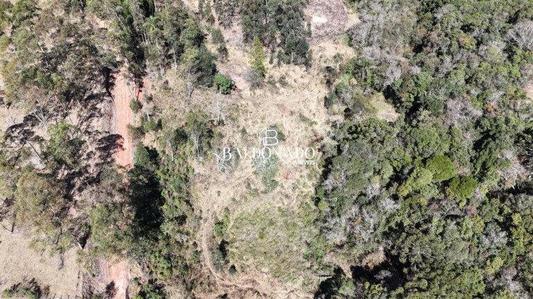 Imagem Imóvel com 5 Quartos à Venda, 726.000 m² em Centro - Munhoz Imagem Imóvel com 5 Quartos à Venda, 726.000 m² em Centro - Munhoz