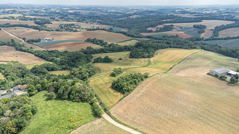 Imagem Terreno à Venda, 145.200 m² em Vila Dom Pedro Ii - Campo Largo