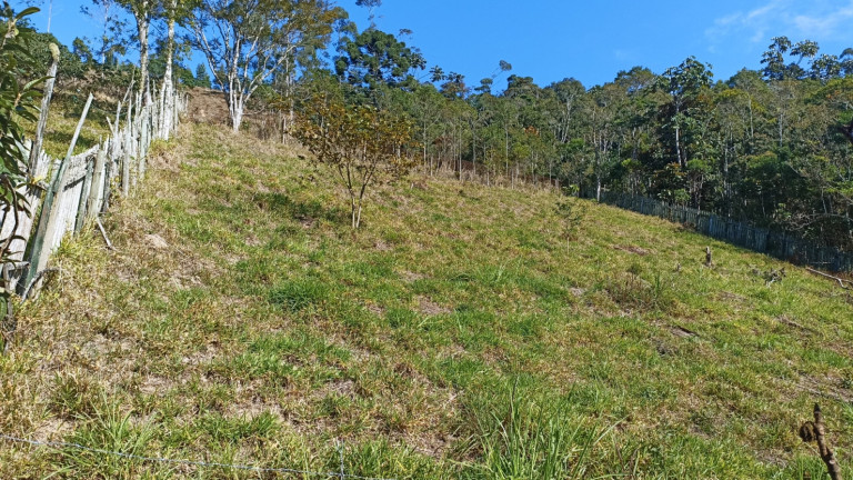 Imagem Chácara com 3 Quartos à Venda, 500 m² em Cedro - Paraibuna Imagem Chácara com 3 Quartos à Venda, 500 m² em Cedro - Paraibuna