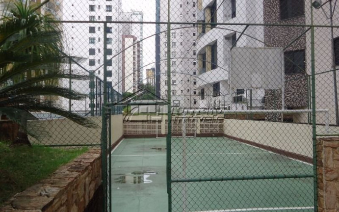 Imagem Apartamento com 3 Quartos para Alugar, 90 m² em Jardim Aquarius - São José Dos Campos Imagem Apartamento com 3 Quartos para Alugar, 90 m² em Jardim Aquarius - São José Dos Campos