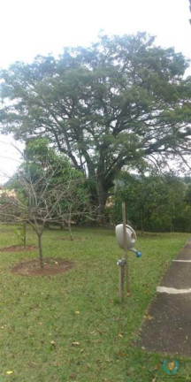 Imagem Chácara com 3 Quartos à Venda, 3.332 m² em Planalto Verde - São Roque Imagem Chácara com 3 Quartos à Venda, 3.332 m² em Planalto Verde - São Roque