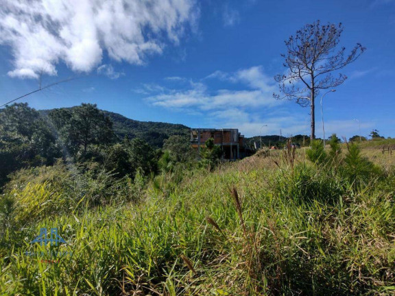 Imagem Terreno à Venda, 638 m² em Itacorubi - Florianópolis