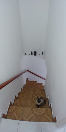 Imagem Sobrado com 3 Quartos à Venda, 164 m² em Paulicéia