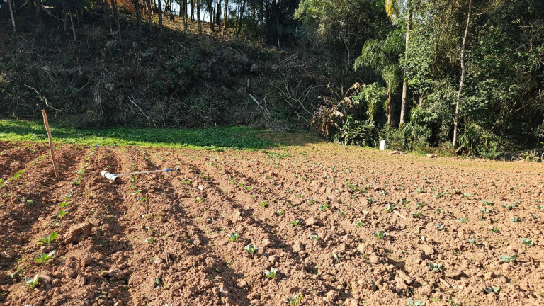 Imagem Fazenda à Venda, em Zona Rural - Araucaria Imagem Fazenda à Venda, em Zona Rural - Araucaria