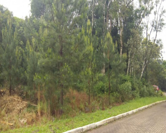 Imagem Imóvel à Venda, 515 m² em Juriti - Nova Petrópolis