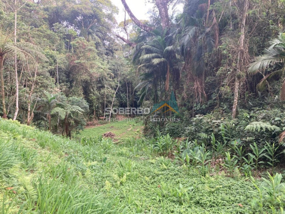 Imagem Terreno à Venda, 2.947 m² em Fazenda Inglesa - Petrópolis Imagem Terreno à Venda, 2.947 m² em Fazenda Inglesa - Petrópolis