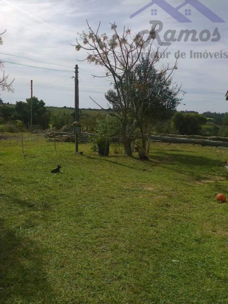 Imagem Imóvel com 3 Quartos à Venda, 20.000 m² em Itapua - Porto Alegre
