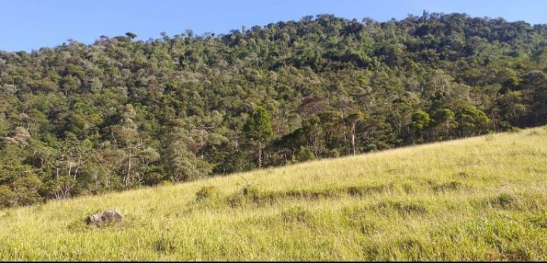 Imagem Fazenda à Venda, 726.000 m² em Tomba - Feira De Santana Imagem Fazenda à Venda, 726.000 m² em Tomba - Feira De Santana
