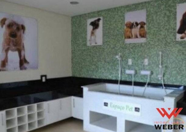 Imagem Apartamento com 3 Quartos à Venda, 70 m² em Parque Bela Vista - Votorantim Imagem Apartamento com 3 Quartos à Venda, 70 m² em Parque Bela Vista - Votorantim