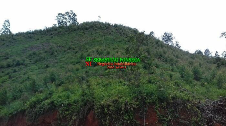 Imagem Chácara à Venda, 30.000 m² em Centro - Monteiro Lobato Imagem Chácara à Venda, 30.000 m² em Centro - Monteiro Lobato