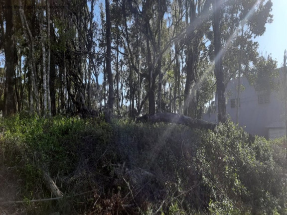 Imagem Terreno à Venda, 848 m² em Vila Germânia - Nova Petrópolis Imagem Terreno à Venda, 848 m² em Vila Germânia - Nova Petrópolis