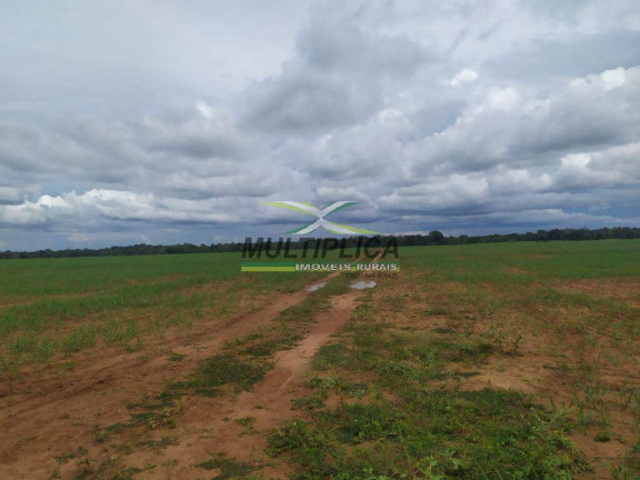 Fazenda à Venda, 740 m² em Talismã