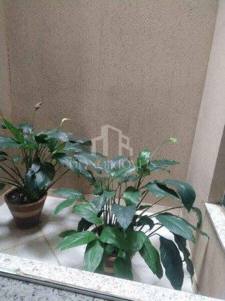 Imagem Casa com 3 Quartos à Venda, 300 m² em Nova Petrópolis - São Bernardo Do Campo