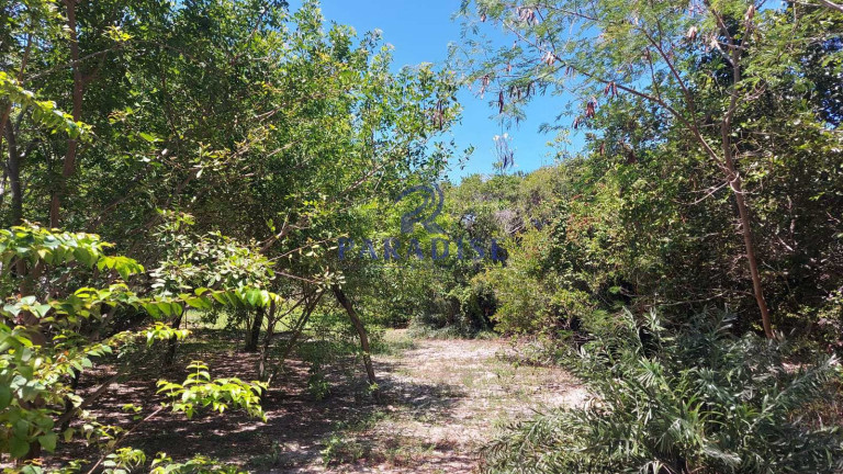 Imagem Terreno à Venda, 350 m² em Praia Do Forte - Mata De São João Imagem Terreno à Venda, 350 m² em Praia Do Forte - Mata De São João
