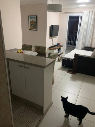 Imagem Apartamento com 3 Quartos à Venda, 74 m² em Chácara Belenzinho - São Paulo Imagem Apartamento com 3 Quartos à Venda, 74 m² em Chácara Belenzinho - São Paulo