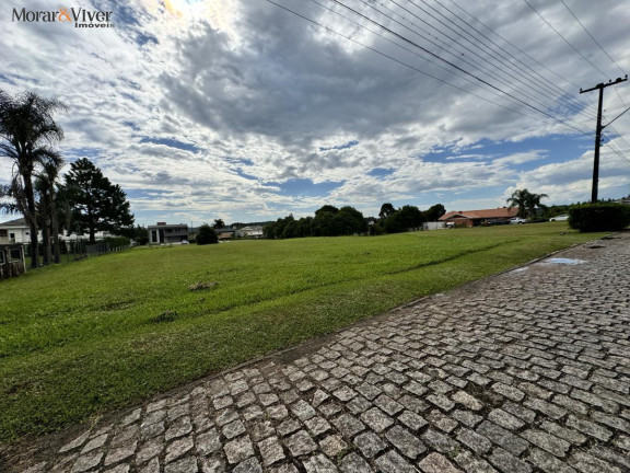 Imagem Terreno à Venda, 1.250 m² em Campo Largo Da Roseira - São José Dos Pinhais Imagem Terreno à Venda, 1.250 m² em Campo Largo Da Roseira - São José Dos Pinhais