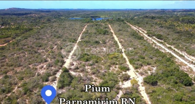 Imagem Fazenda à Venda, 200.000 m² em Pium - Nísia Floresta Imagem Fazenda à Venda, 200.000 m² em Pium - Nísia Floresta
