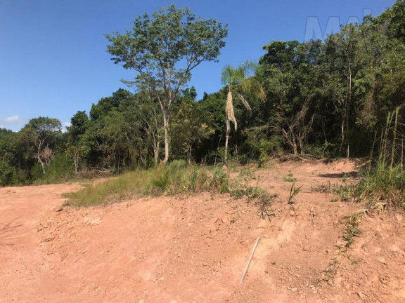 Imagem Terreno à Venda,  em Lomba Grande - Novo Hamburgo