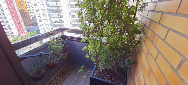 Imagem Apartamento com 3 Quartos à Venda, 110 m² em Chácara Klabin - São Paulo