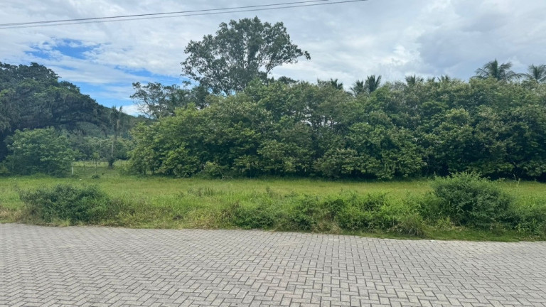 Imagem Terreno à Venda, 450 m² em Ribeirão Da Ilha - Florianópolis Imagem Terreno à Venda, 450 m² em Ribeirão Da Ilha - Florianópolis