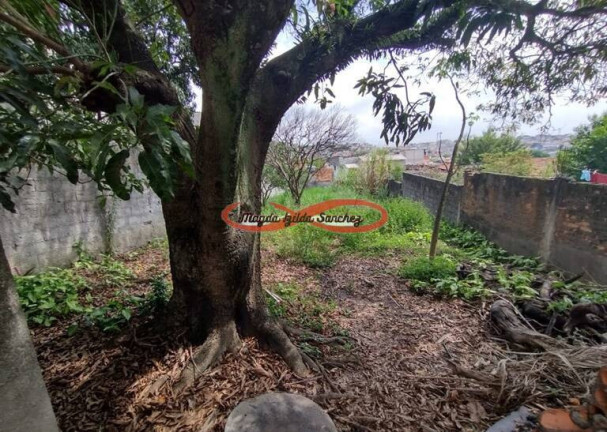 Imagem Terreno à Venda, 446 m² em Vila Nhocune - São Paulo Imagem Terreno à Venda, 446 m² em Vila Nhocune - São Paulo
