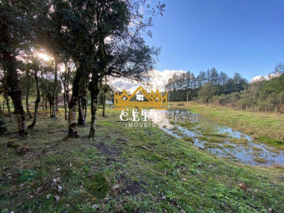 Imagem Imóvel à Venda, 20 m² em Serra Grande - Igrejinha Imagem Imóvel à Venda, 20 m² em Serra Grande - Igrejinha