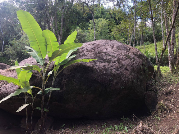 Imagem Terreno à Venda, 15.000 m² em Cambuí