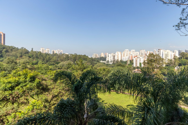 Imagem Apartamento com 3 Quartos à Venda, 68 m² em Paraíso Do Morumbi - São Paulo Imagem Apartamento com 3 Quartos à Venda, 68 m² em Paraíso Do Morumbi - São Paulo